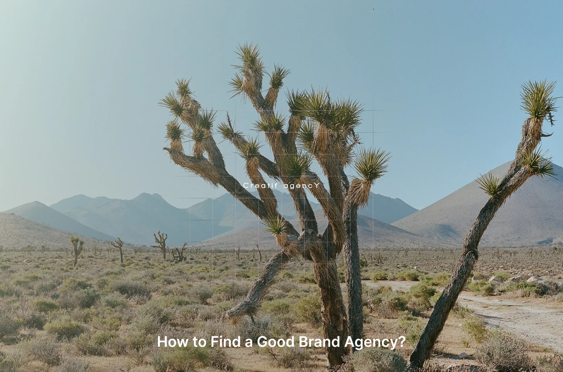 How to Find a Good Brand Agency? in California