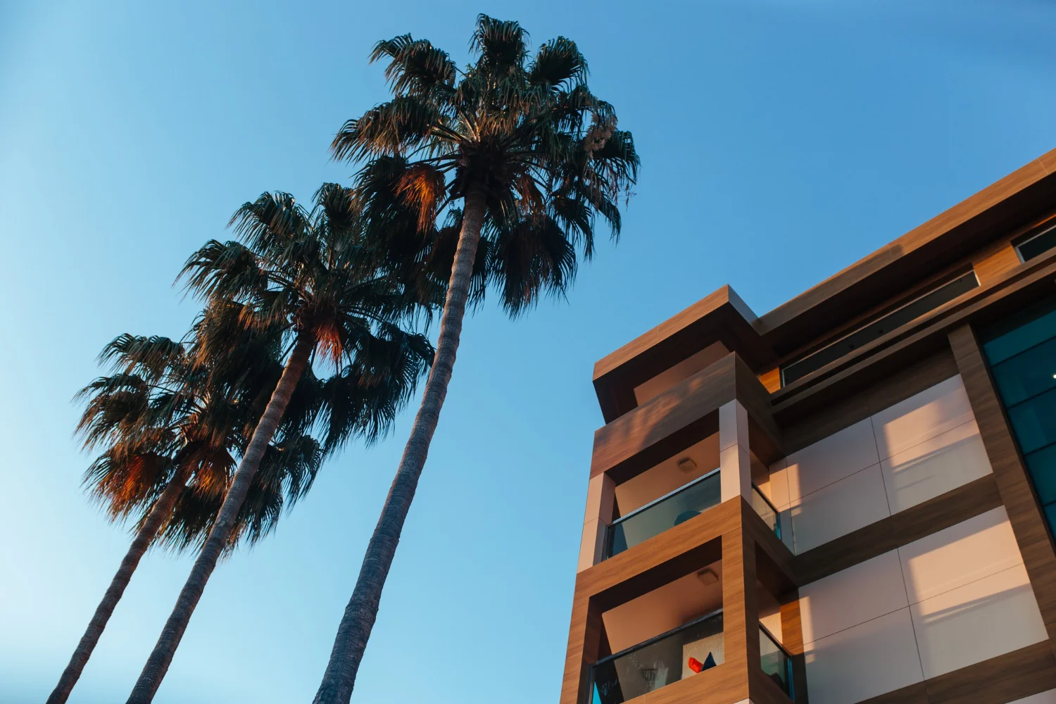 Los Angeles Real Estate Web Design