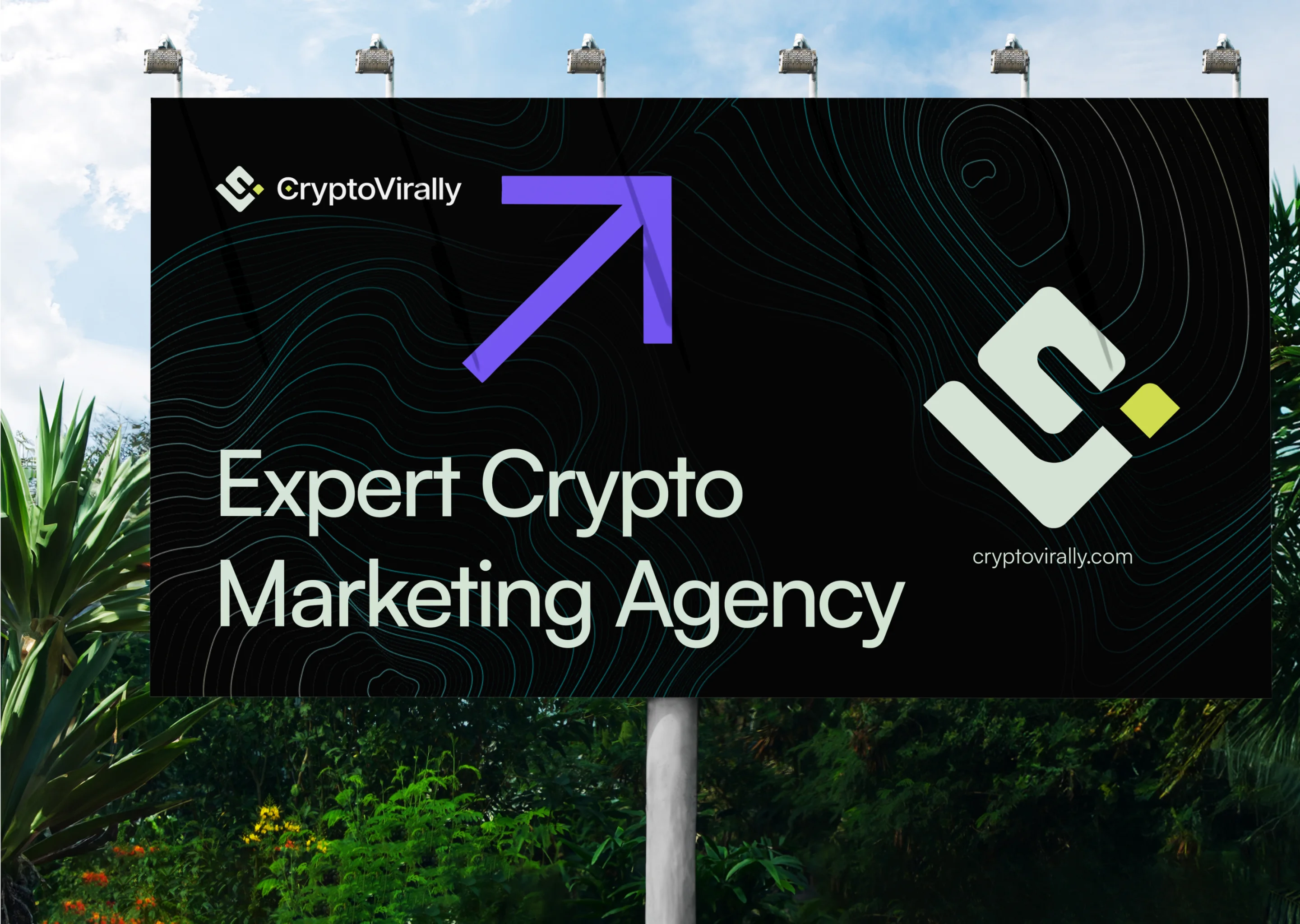 crypto project