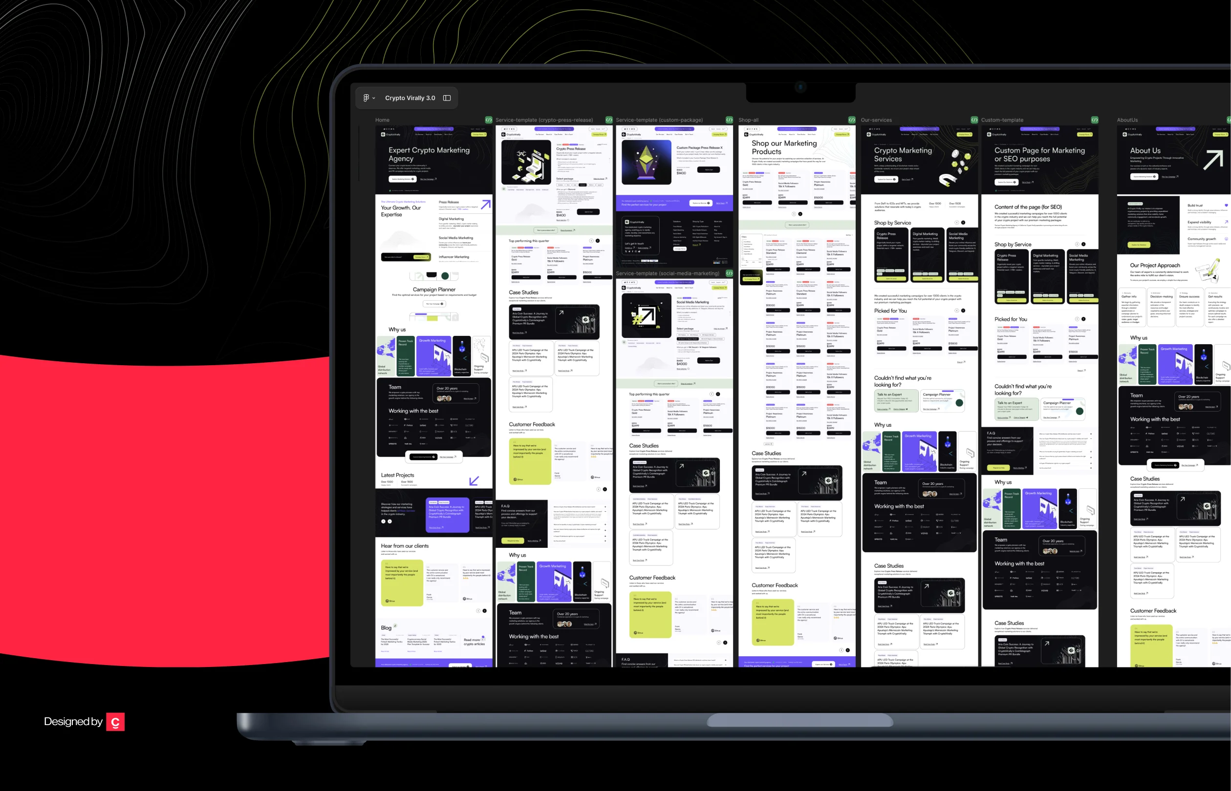 Project overview