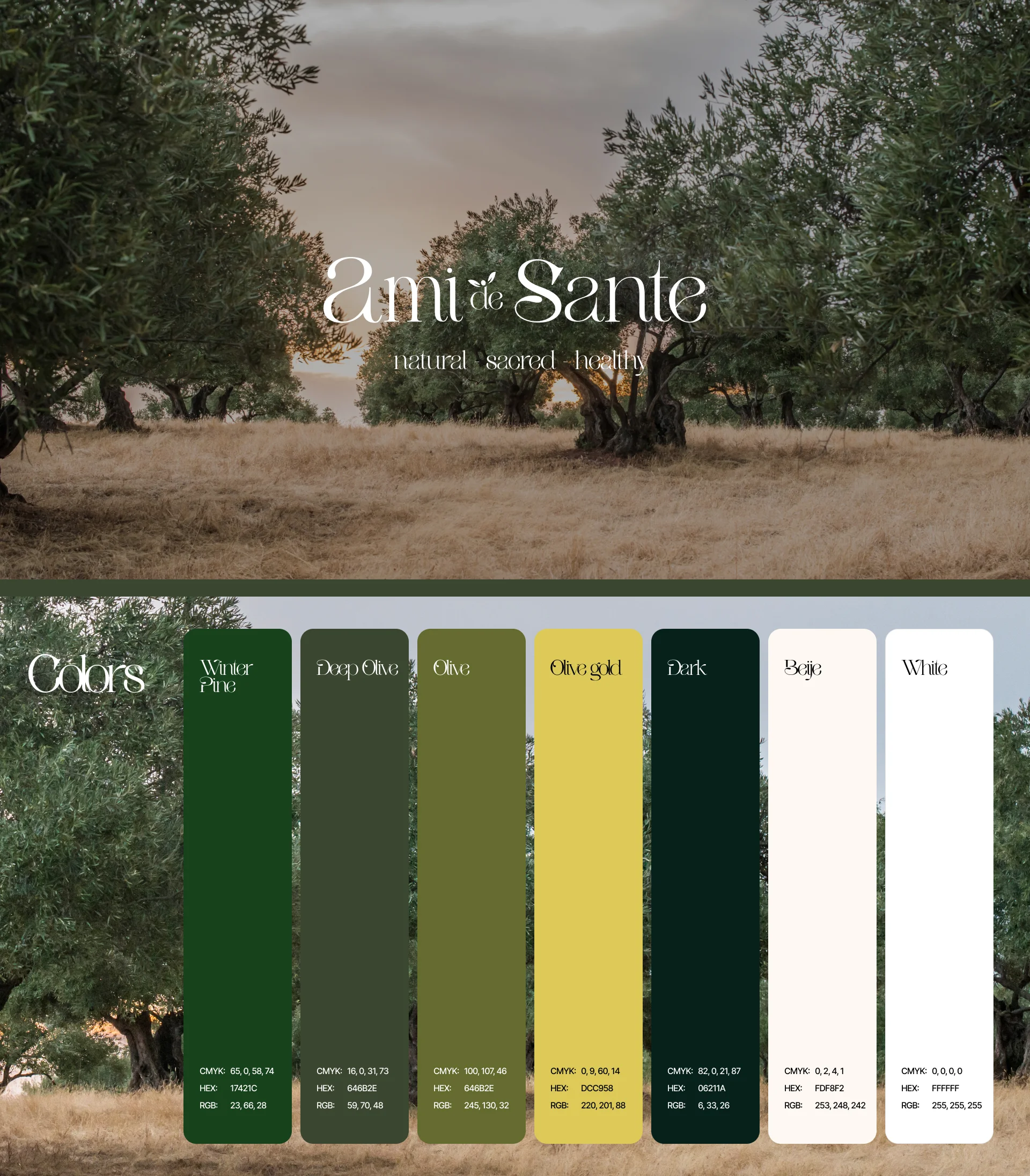 Olive oil brand design