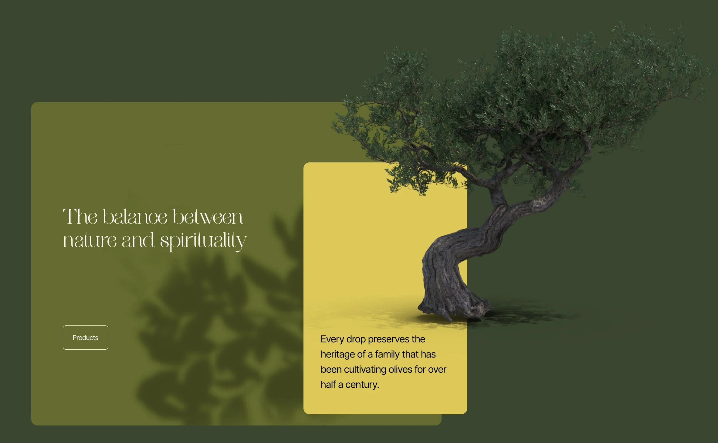 OlivAthos branding, designed by Creatif