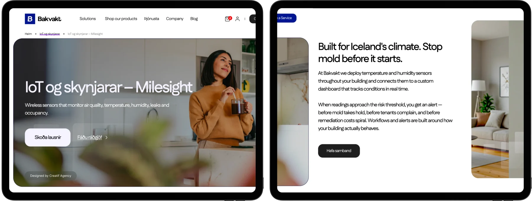 Iceland web design Creatif Agency